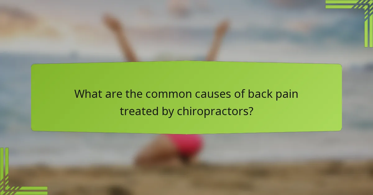What are the common causes of back pain treated by chiropractors?