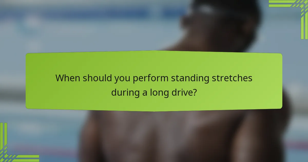 When should you perform standing stretches during a long drive?